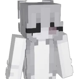 maldiagnosi Minecraft avatar bust