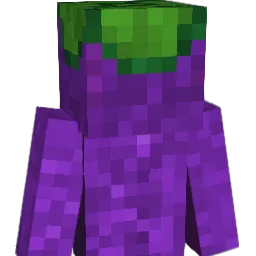mangosteen_king Minecraft avatar bust