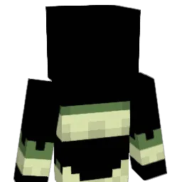 manysidedmirror Minecraft avatar bust