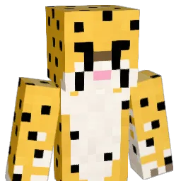 mapdit's Minecraft skin