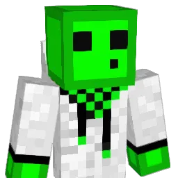 mariocart8 Minecraft avatar bust