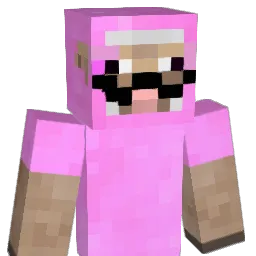 mass2254 Minecraft avatar bust