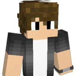masterzocker33's Minecraft skin