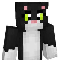 matric13 Minecraft avatar bust