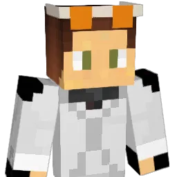 mattballard11 Minecraft avatar bust