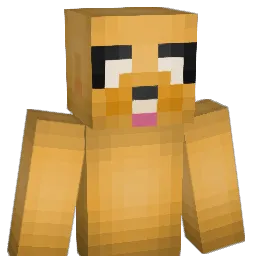 matthewgarza Minecraft avatar bust