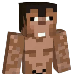 mattsat04 Minecraft avatar bust