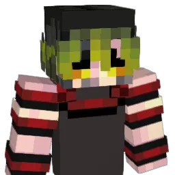 maxentus's Minecraft skin