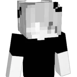 maximumcheat1234's Minecraft skin