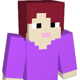 may14t Minecraft avatar bust