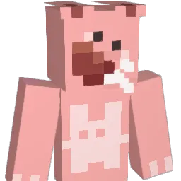 meat_tokki