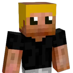 mecer_1 Minecraft avatar bust