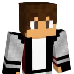 mede9585 Minecraft avatar bust