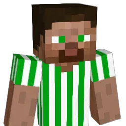 medin14's Minecraft skin