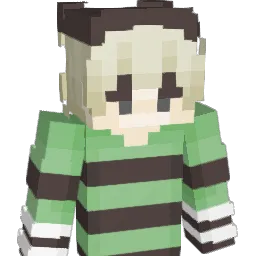 meeet_ Minecraft avatar bust