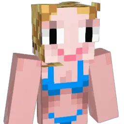 meemeedog Minecraft avatar bust