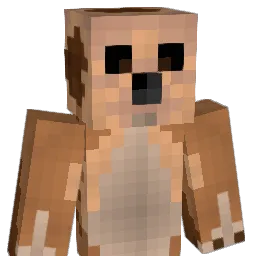 meercat537 Minecraft avatar bust