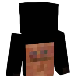 meesdef Minecraft avatar bust