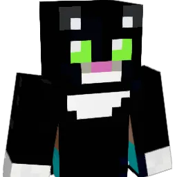 meg_tron Minecraft avatar bust
