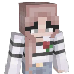 megevans1210 Minecraft avatar bust