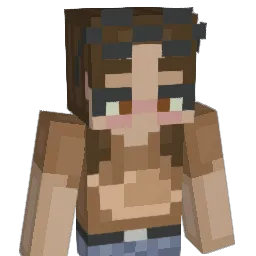 mehilainen Minecraft avatar bust