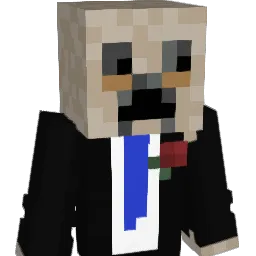 meir_the_pro