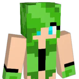 meizcool Minecraft avatar bust