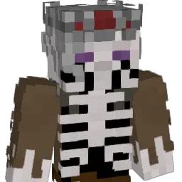 meme14423 Minecraft avatar bust