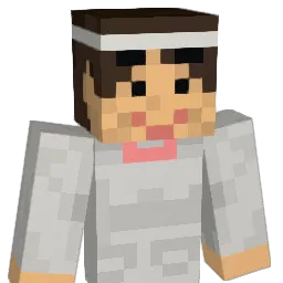 meme26ym Minecraft avatar bust