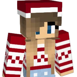 memel123456789 Minecraft avatar bust