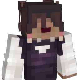 mender17's Minecraft skin