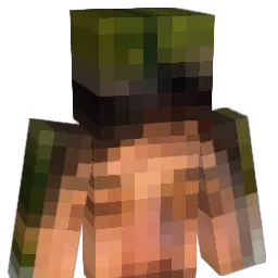 mendigagemO_o Minecraft avatar bust