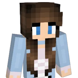 menis_craft