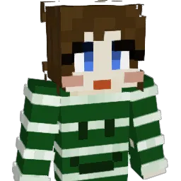 messerle's Minecraft skin