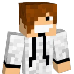 metal1595 Minecraft avatar bust