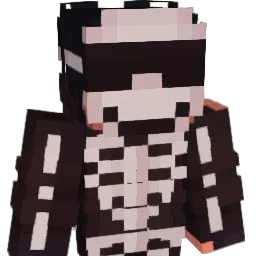 meteorinto Minecraft avatar bust