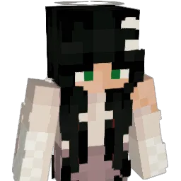 metroblinks's Minecraft skin