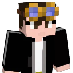 metroidhunter1 Minecraft avatar bust