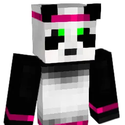 metroninja Minecraft avatar bust