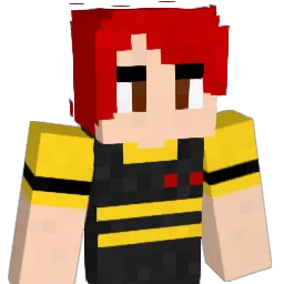 mf_platypus Minecraft avatar bust