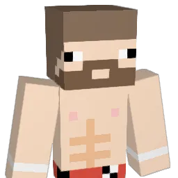 mhd Minecraft avatar bust