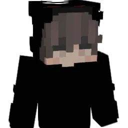 miamilink Minecraft avatar bust