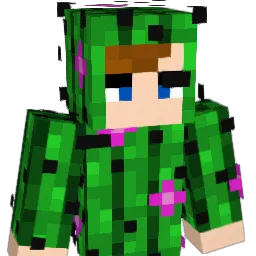 michiganho Minecraft avatar bust