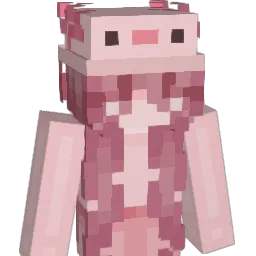 miimido Minecraft avatar bust