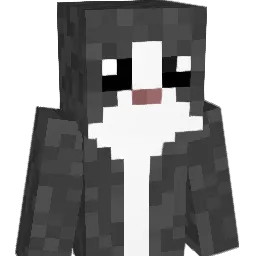 mik_pl's Minecraft skin