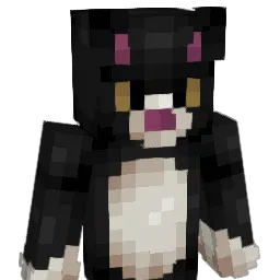 mimmibusan