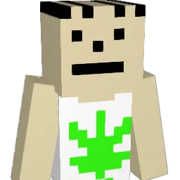 minecraftdudeguy Minecraft avatar bust