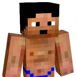 minequentin Minecraft avatar bust