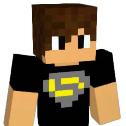 miner102030 Minecraft avatar bust