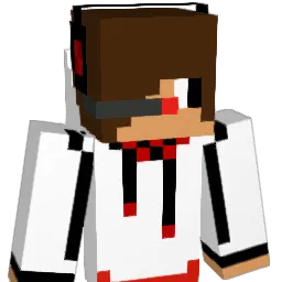 minerexpert2001 Minecraft avatar bust
